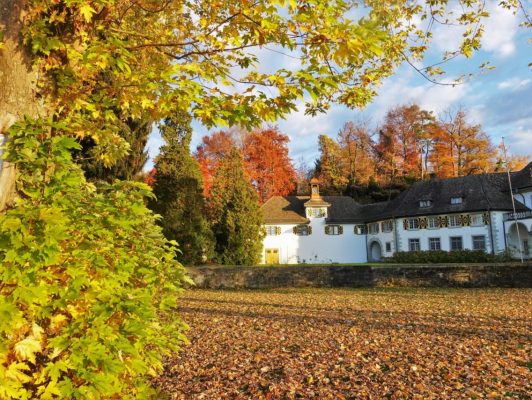 17.10. Wisy / Schloss Halbinsel Au